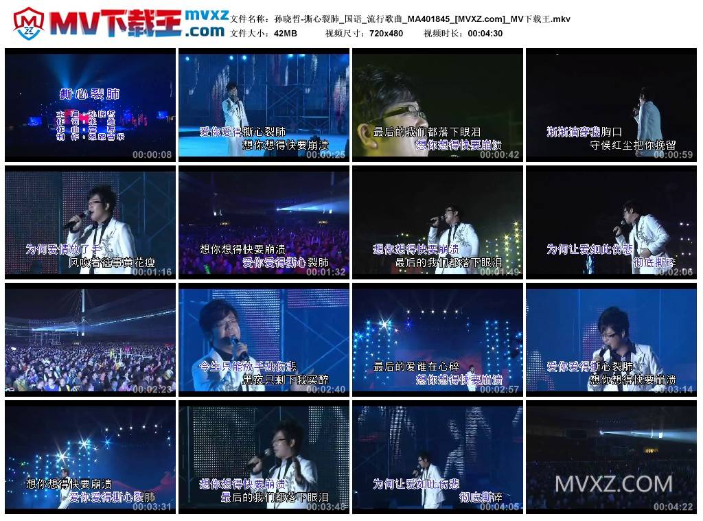 孙晓哲-撕心裂肺_国语_流行歌曲_MA401845